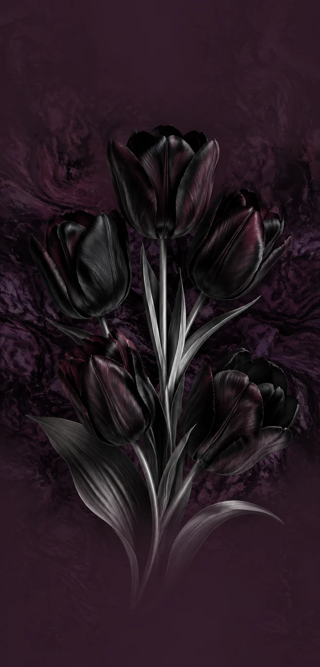 Black Tulip