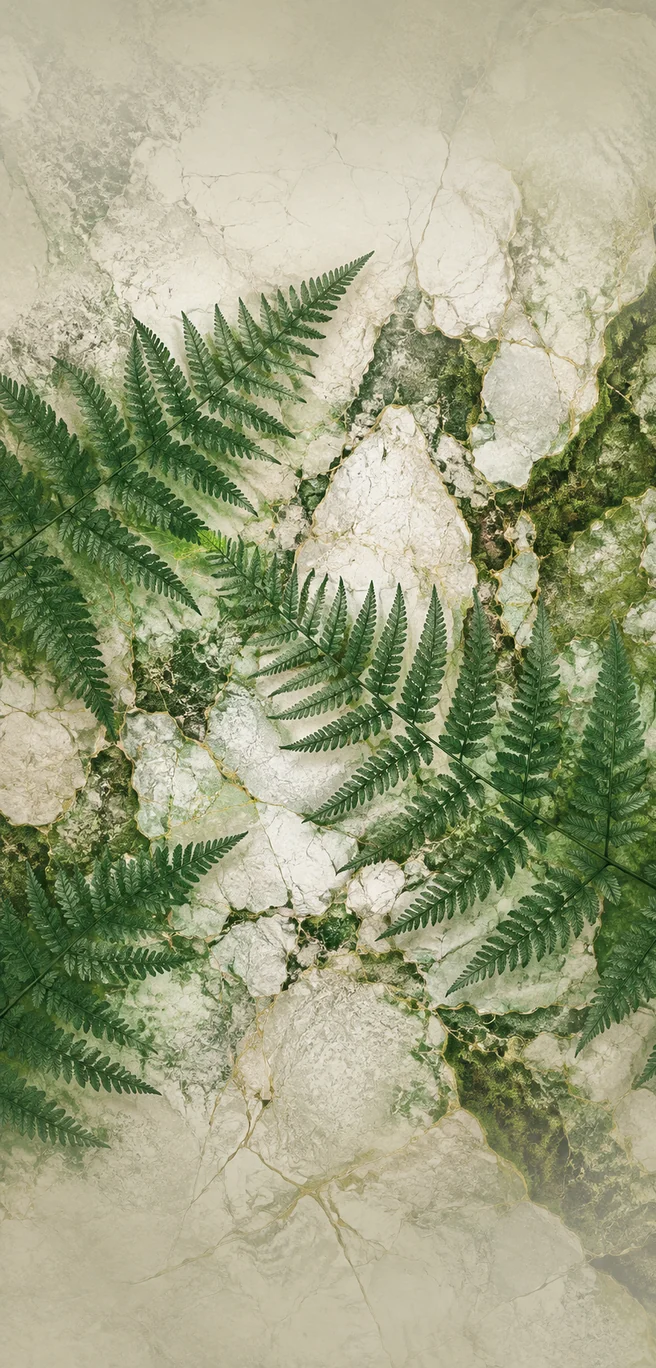 Fern & Stone