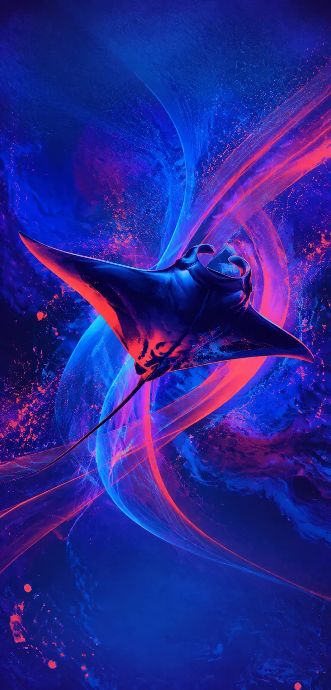 Manta de rave